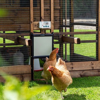 Automatická dvířka kurníku - strojek Poultry kit Premium 230V + 4x baterie AA, sada s dvířky 30 x 40 cm